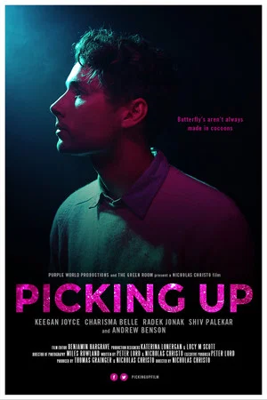 Постер: Picking Up