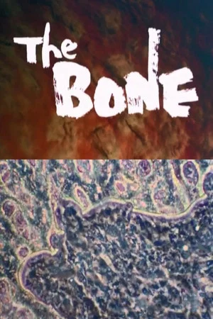 Постер: THE BONE
