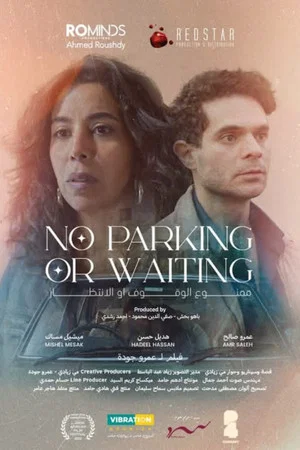 Постер: No Parking or Waiting