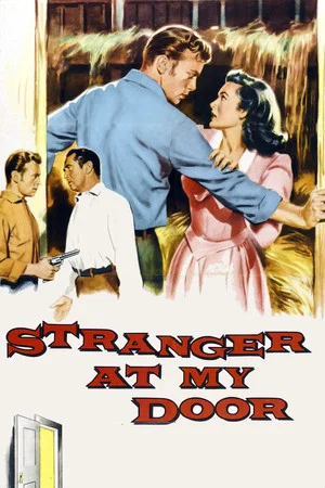 Постер: Stranger at My Door