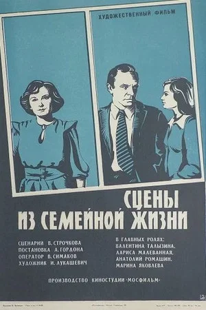 Постер: Сцены из семейной жизни