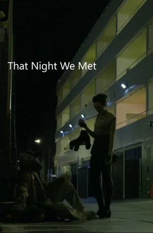 Постер: That Night we Met