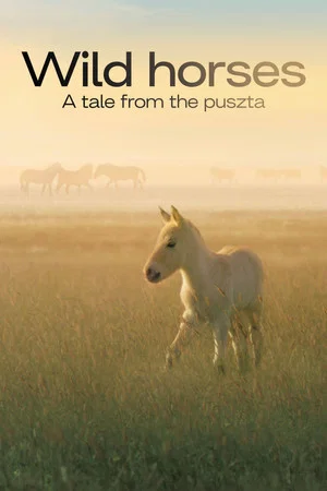 Постер: Wild Horses - A Tale From The Puszta
