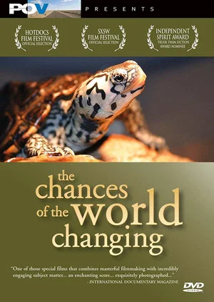Постер: The Chances of the World Changing