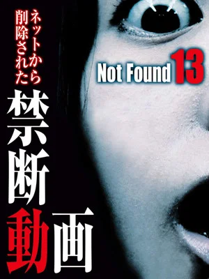 Постер: Not Found 13