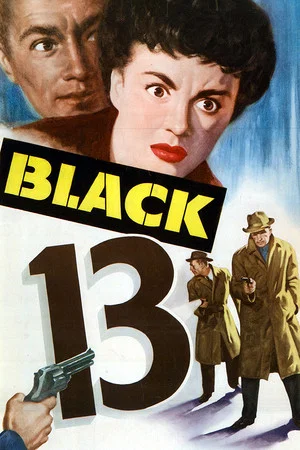 Постер: Black 13