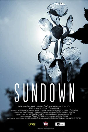 Постер: Sundown