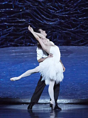 Постер: Graeme Murphy's Swan Lake