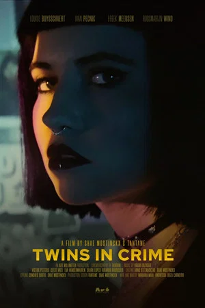 Постер: Twins in Crime