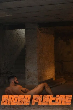 Постер: Baise platine