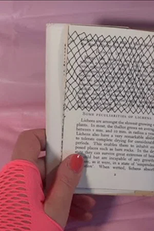 Постер: Deletion