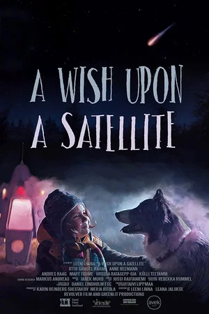 Постер: A Wish Upon A Satellite