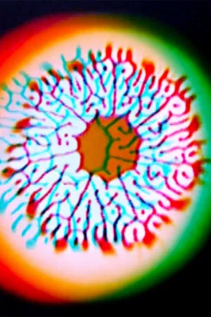 Постер: Molecular Feedback