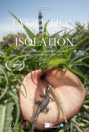 Постер: Nàufrags de l'evolució