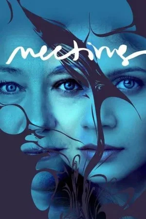 Постер: Meeting