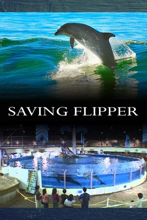 Постер: Saving Flipper