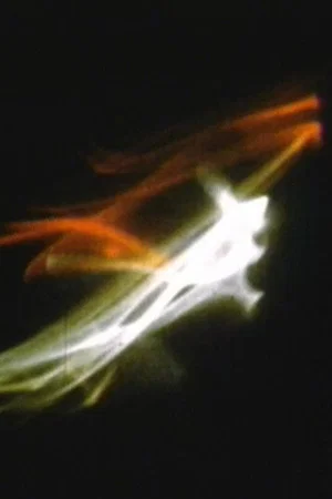 Постер: Energies