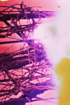 Постер: Granular Film - Beirut