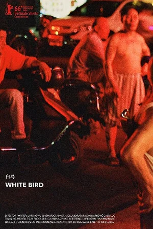Постер: White Bird