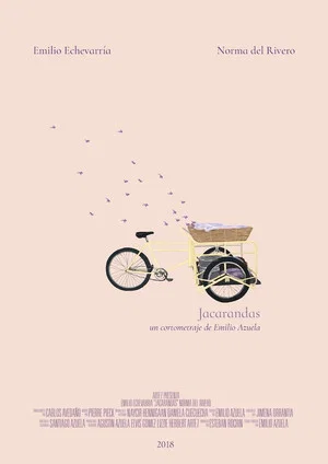 Постер: Jacarandas