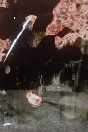 Постер: Abstracto