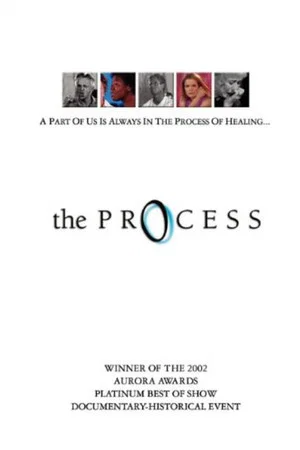 Постер: The Process