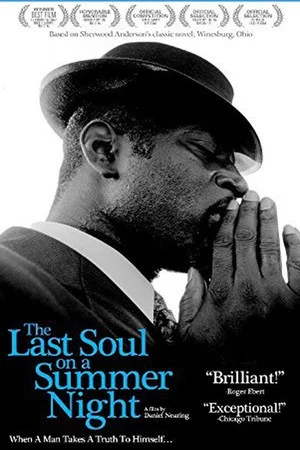 Постер: The Last Soul on a Summer Night