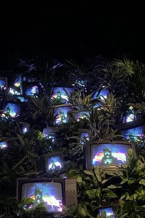 Постер: TV Garden