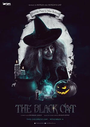 Постер: The Black Cat