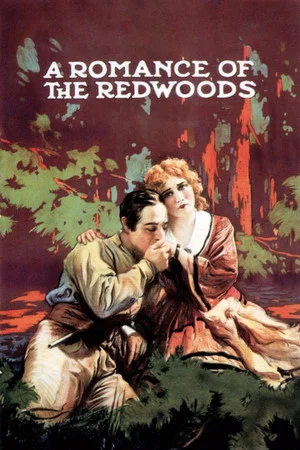 Постер: A Romance of the Redwoods