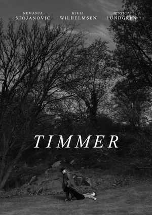 Постер: Timmer