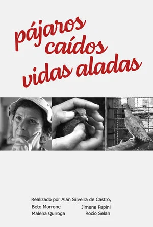 Постер: Pájaros Caídos, vidas aladas