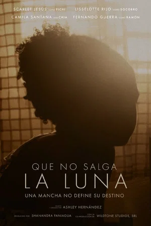 Постер: Que No Salga La Luna