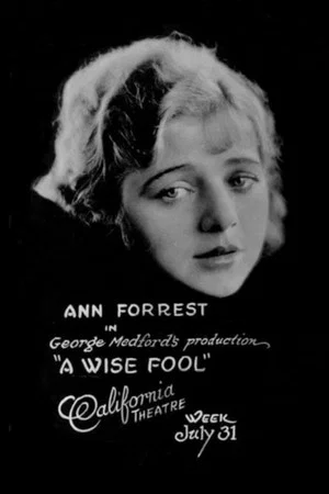 Постер: A Wise Fool