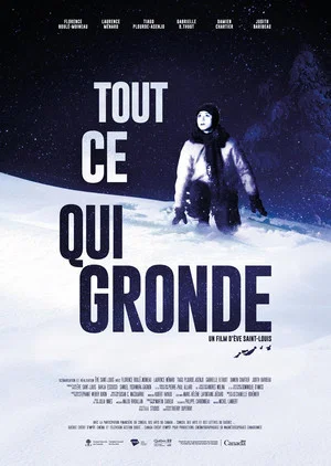 Постер: Tout ce qui gronde