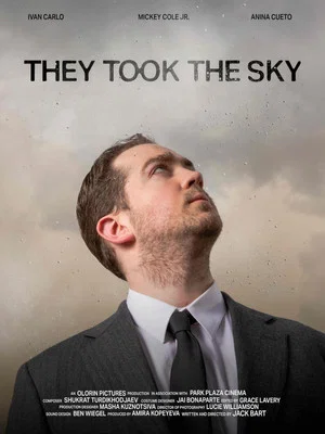 Постер: They Took the Sky