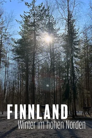 Постер: Finnland - Winter im hohen Norden