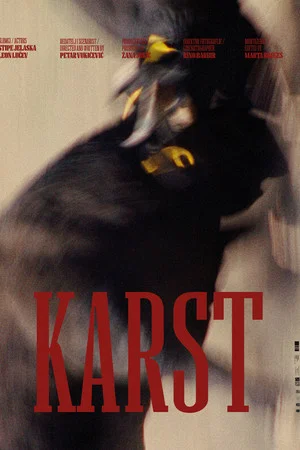 Постер: Karst