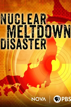 Постер: Nuclear Meltdown Disaster