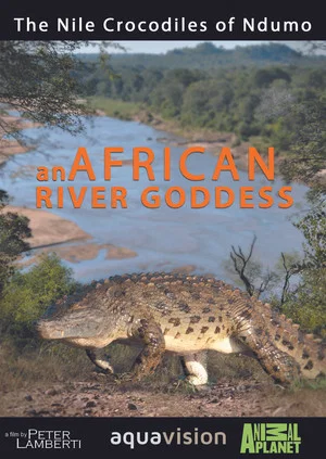 Постер: River Dragons of Ndumo