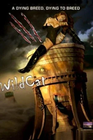 Постер: WildCat