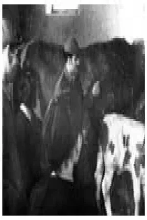 Постер: The Cattle Breeding of Today