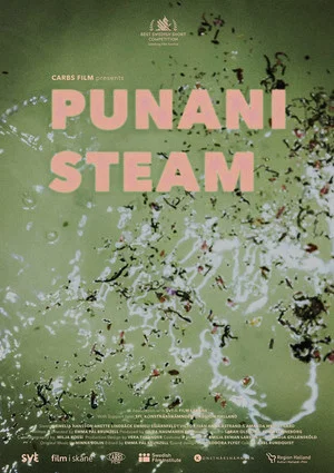 Постер: Punani Steam