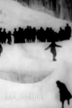 Постер: Sliding Down Ice Mound at Niagara Falls