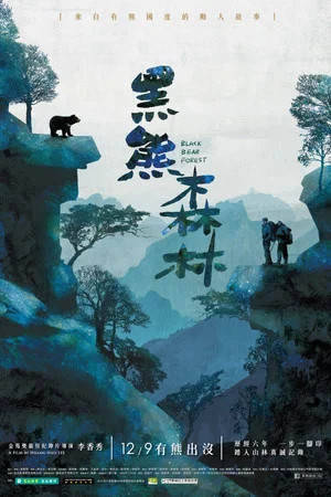 Постер: Black Bear Forest