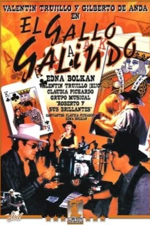 Постер: El gallo galindo