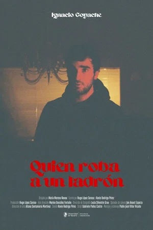 Постер: Quien roba a un ladrón