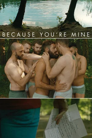 Постер: Because You're Mine