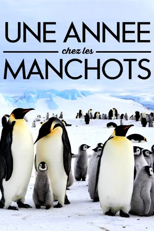 Постер: A Year With the Penguins