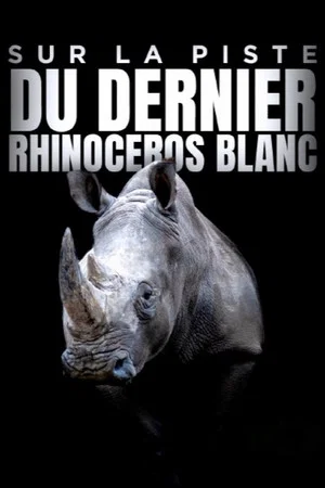 Постер: Sur la piste du dernier rhinocéros blanc